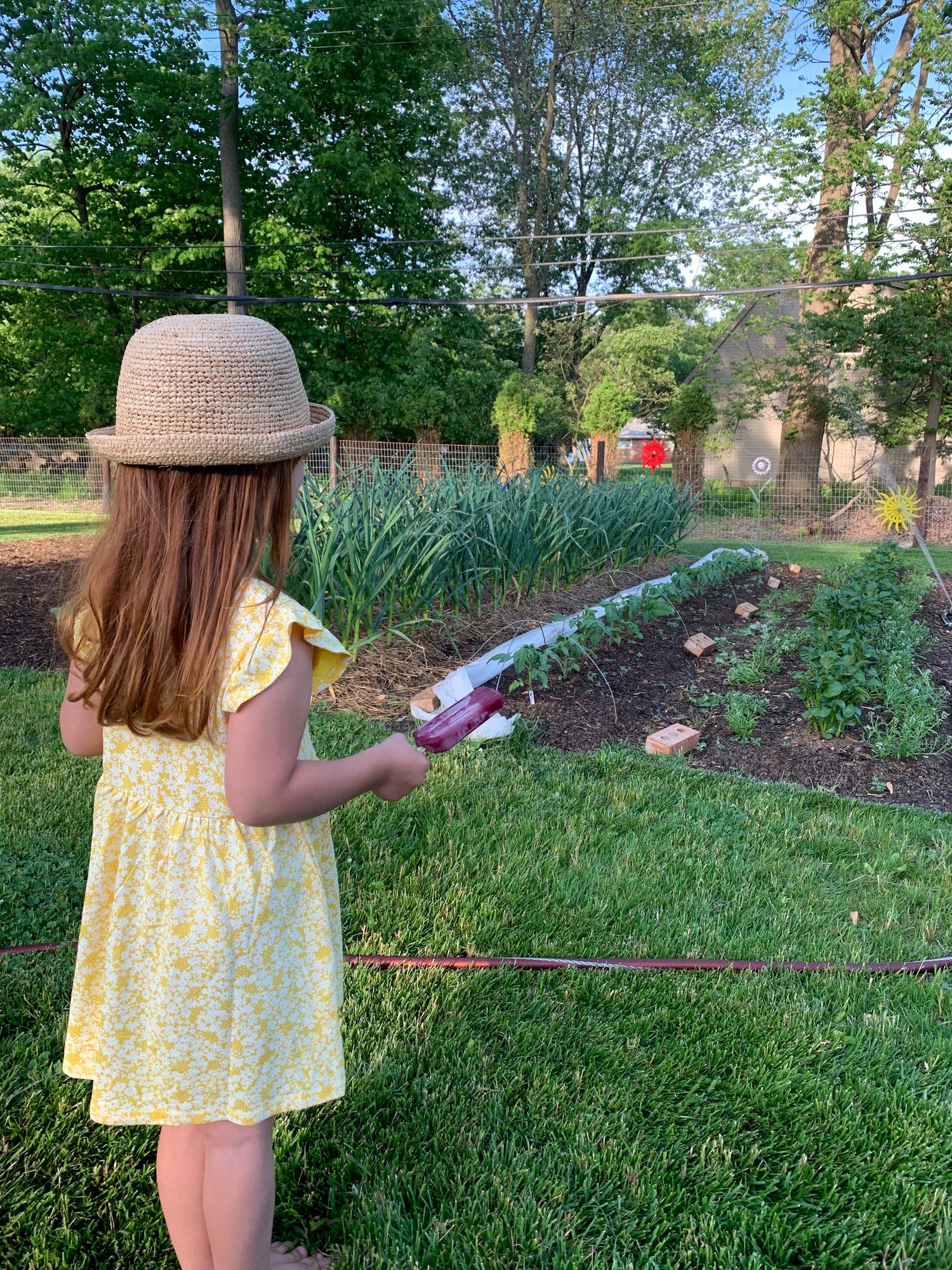 Children’s Garden Plant Collection