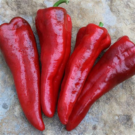 Italia Pepper: A Sweet Italian Favorite with Bold Flavor