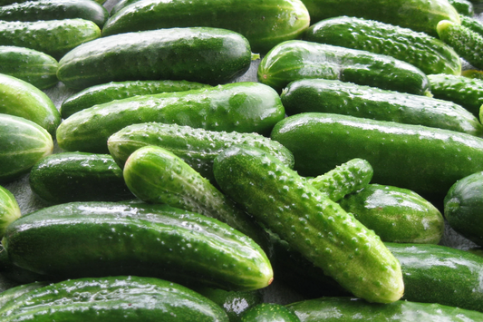 Cucumber: Russian Pickling - Heirloom Favorite for Crisp, Flavorful Pickles
