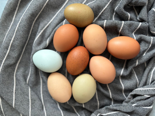 Farm-Fresh Eggs
