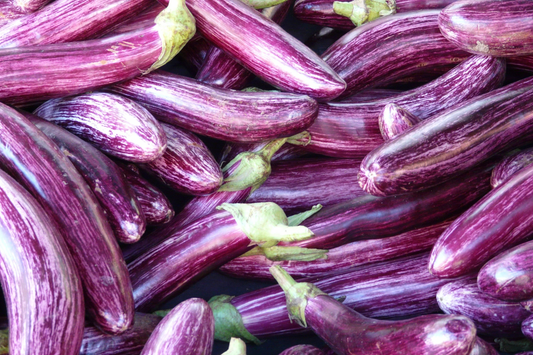 Antigua Eggplant: A Sweet and Stunning Heirloom