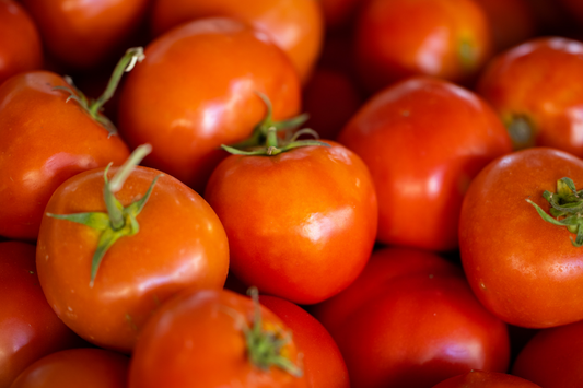 Wisconsin Chief Tomato: A Hardy Heirloom with Bold Flavor
